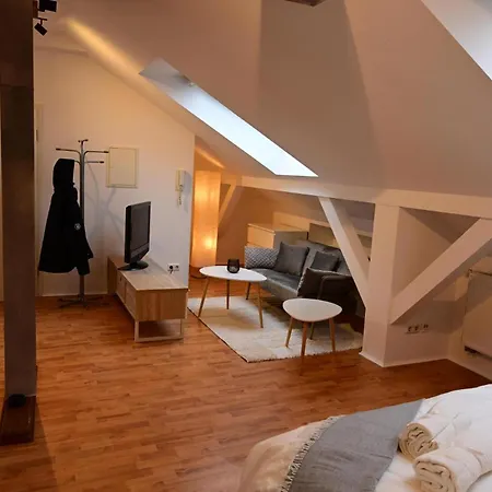 Apartment Loftstyle In Wiesbaden