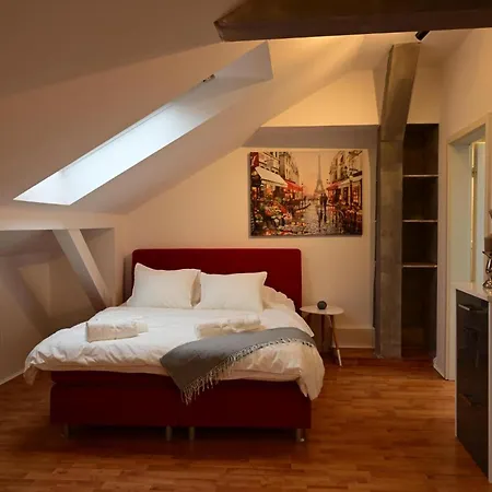 Loftstyle In Apartment Wiesbaden